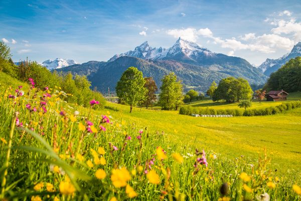 Sommer Landschaft Wiese Berge